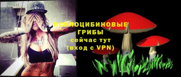 мескалин Елизово