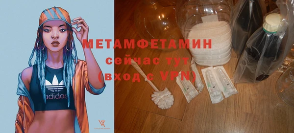 шишки Ельня