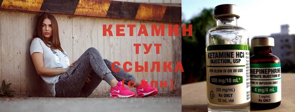 шишки Ельня
