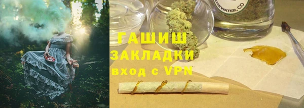 шишки Ельня