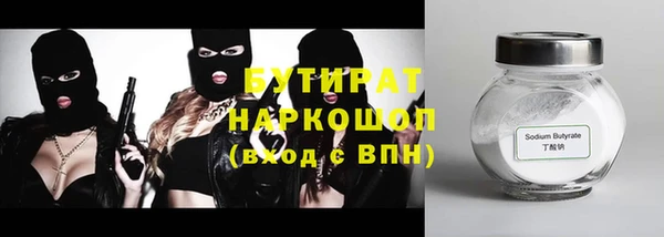 шишки Ельня