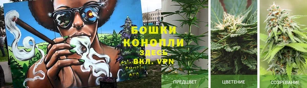 мескалин Елизово