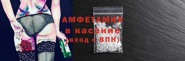 шишки Ельня