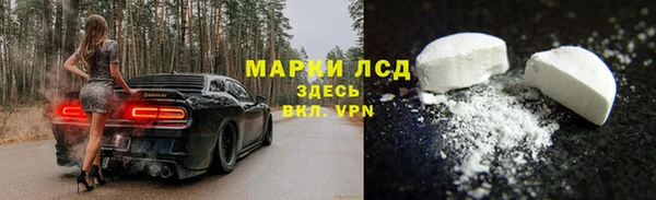 шишки Ельня